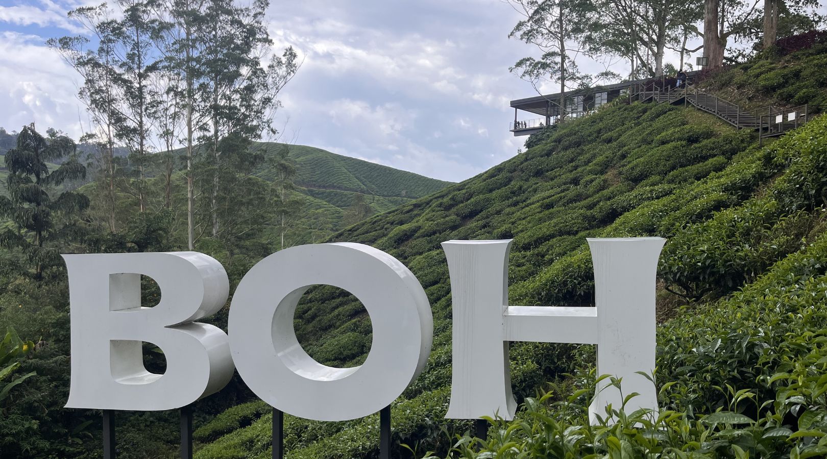 マレーシアの人気紅茶ブランド BOH Tea（ボーティー）にてフリータイム